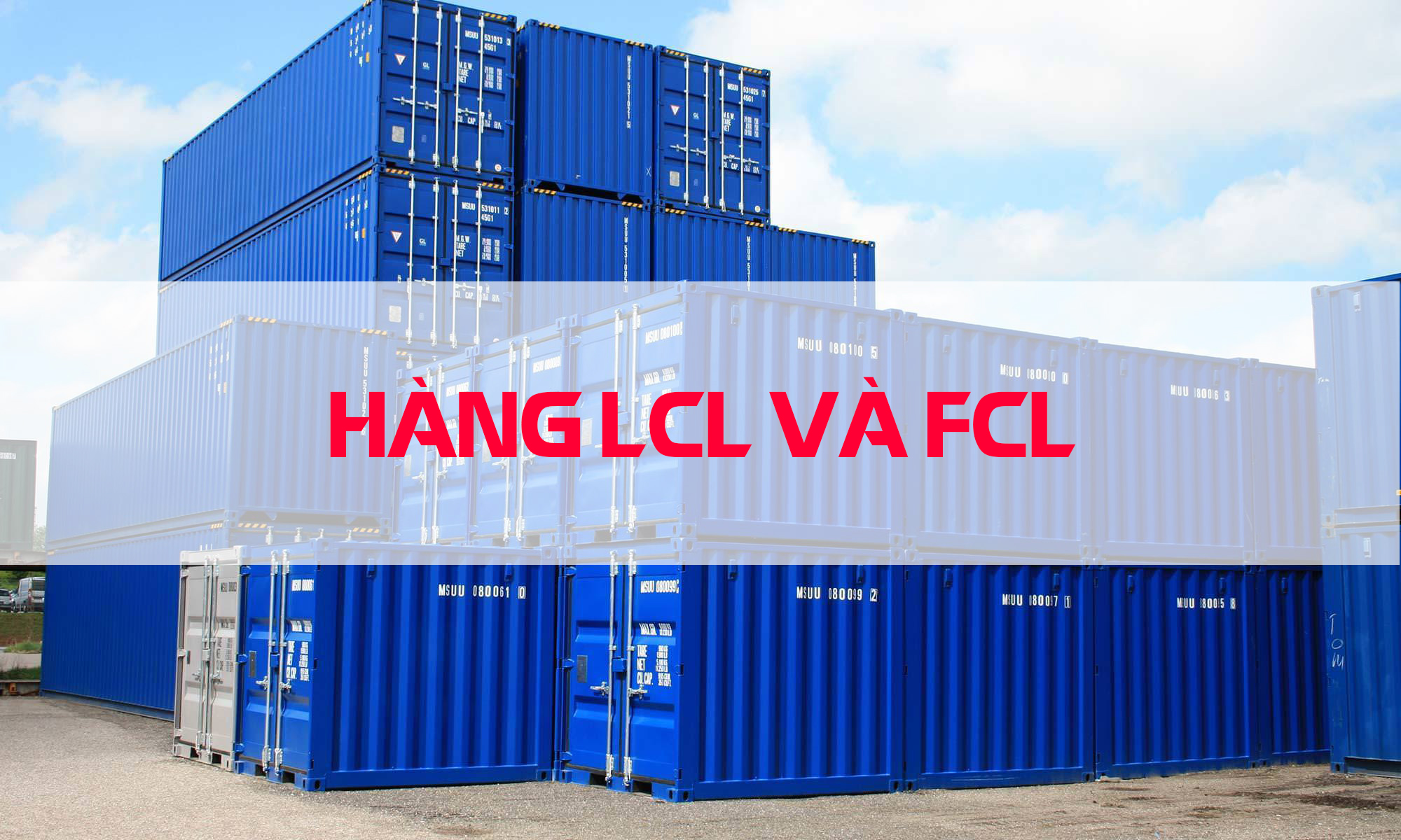 FCL là gì ? LCL là gì ? So sánh sự khác nhau giữa hàng FCL và LCL 